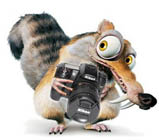 Scrat