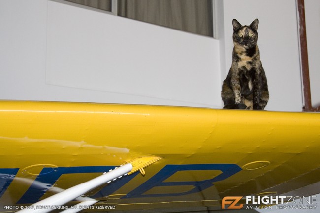 Hangar Cat Rand Airport FAGM