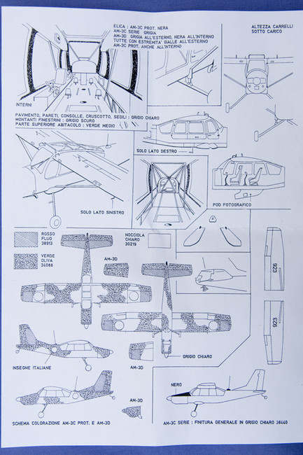 Bosbok Model